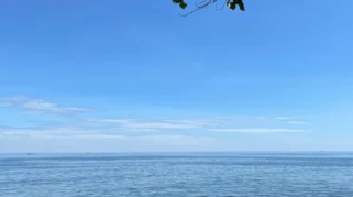 Masyarakat sebagai Kunci Konservasi Pesisir dan Laut di Buleleng