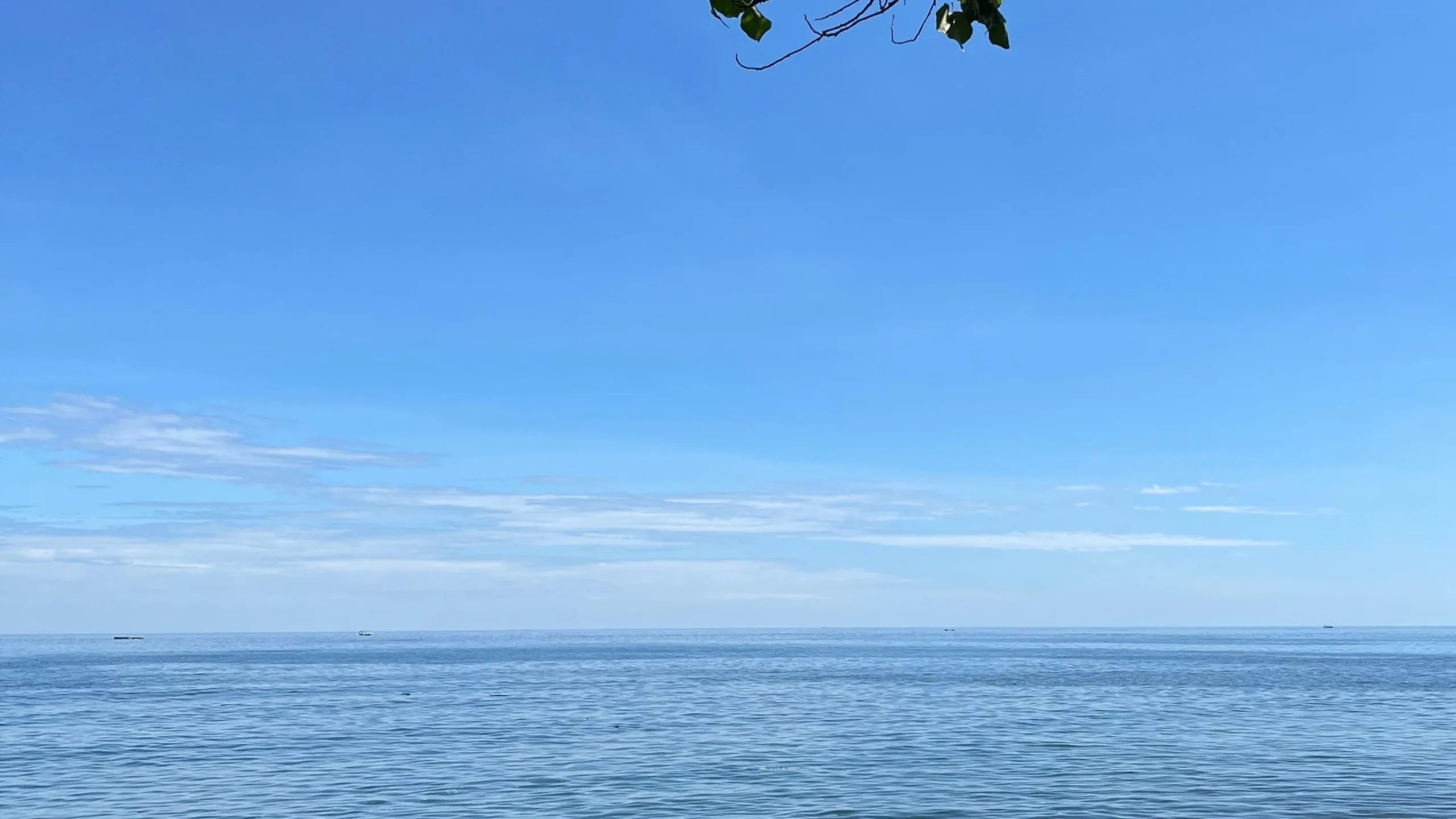 Masyarakat sebagai Kunci Konservasi Pesisir dan Laut di Buleleng
