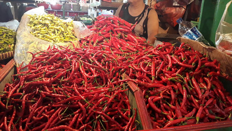 Mentan Amran Sulaiman Minta Stabilisasi Harga Cabai Rawit Merah yang Tembus Rp 100 Ribu/kg