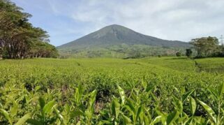 Pagaralam Terendah se-Sumsel, Angka Kemiskinan Turun Jadi 7,12 Persen pada 2026