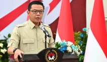 Pemerintah Salurkan Bantuan Rp1,23 Triliun untuk Penanganan Karhutla di 7 Provinsi