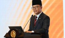 Pemerintah Salurkan Rp1,235 Triliun Bantuan Karhutla ke Tujuh Provinsi
