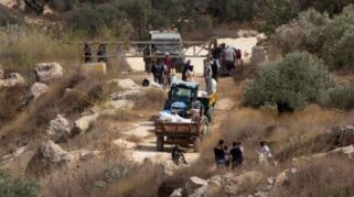 Pemukim Israel Serang Petani Palestina dan Diplomat Eropa di Tepi Barat, 40 Insiden Dilaporkan