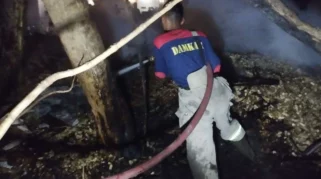 Percikan Api Bediang Bakar Kandang dan Rumah Warga Pantura Lamongan, Dua Jam Rugi Rp62 Juta