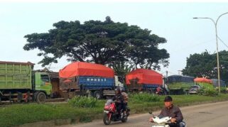 Puluhan Truk ODOL Pengangkut Pasir Tambang Ditilang Polres Cilegon
