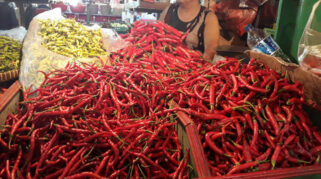 Stabilisasi Harga Cabai Rawit Merah Diperlukan Setelah Mencapai Rp 101.550 per Kg