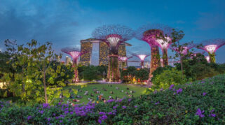 Tempat Wisata Malam Instagramable di Singapura
