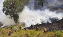 Tragedi Bromo: Empat Petugas Tewas, Anggota DPR Desak Evaluasi Keselamatan