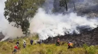 Tragedi Bromo: Empat Petugas Tewas, Anggota DPR Desak Evaluasi Keselamatan