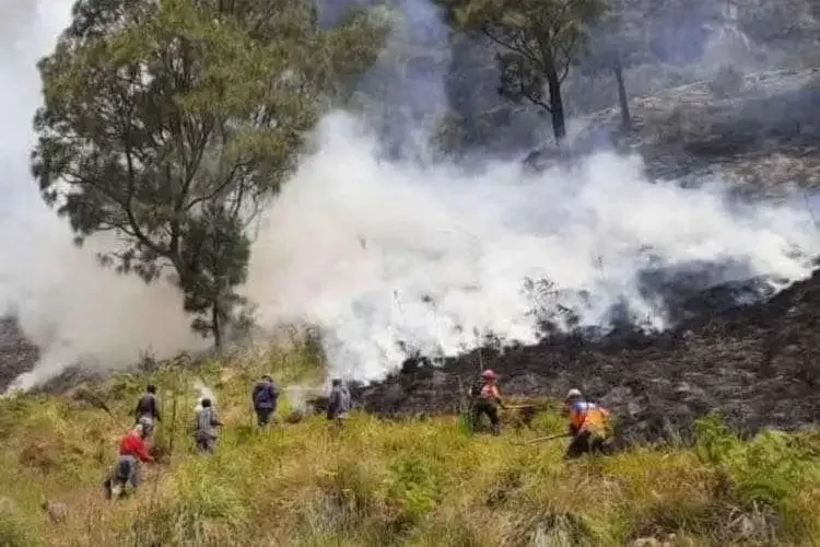 Tragedi Bromo: Empat Petugas Tewas, Anggota DPR Desak Evaluasi Keselamatan
