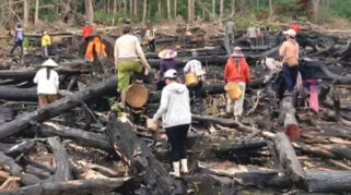 Viral Video Warga Kalimantan Timur Sebar Benih Tanaman di Kawasan Bekas Karhutla