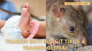 Tragedi Bayi Digigit Tikus di ICU India dan Deretan Isu Global yang Menyita Perhatian Dunia