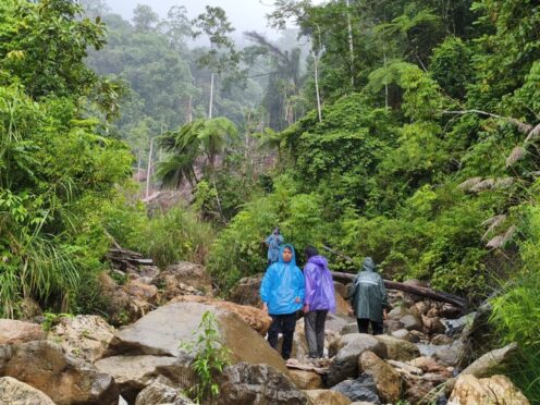 Bareskrim Polri Musnahkan 57,75 Hektare Ladang Ganja Tersembunyi di Aceh